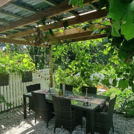 Pheasant Lodge Paparoa ภายนอก รูปภาพ