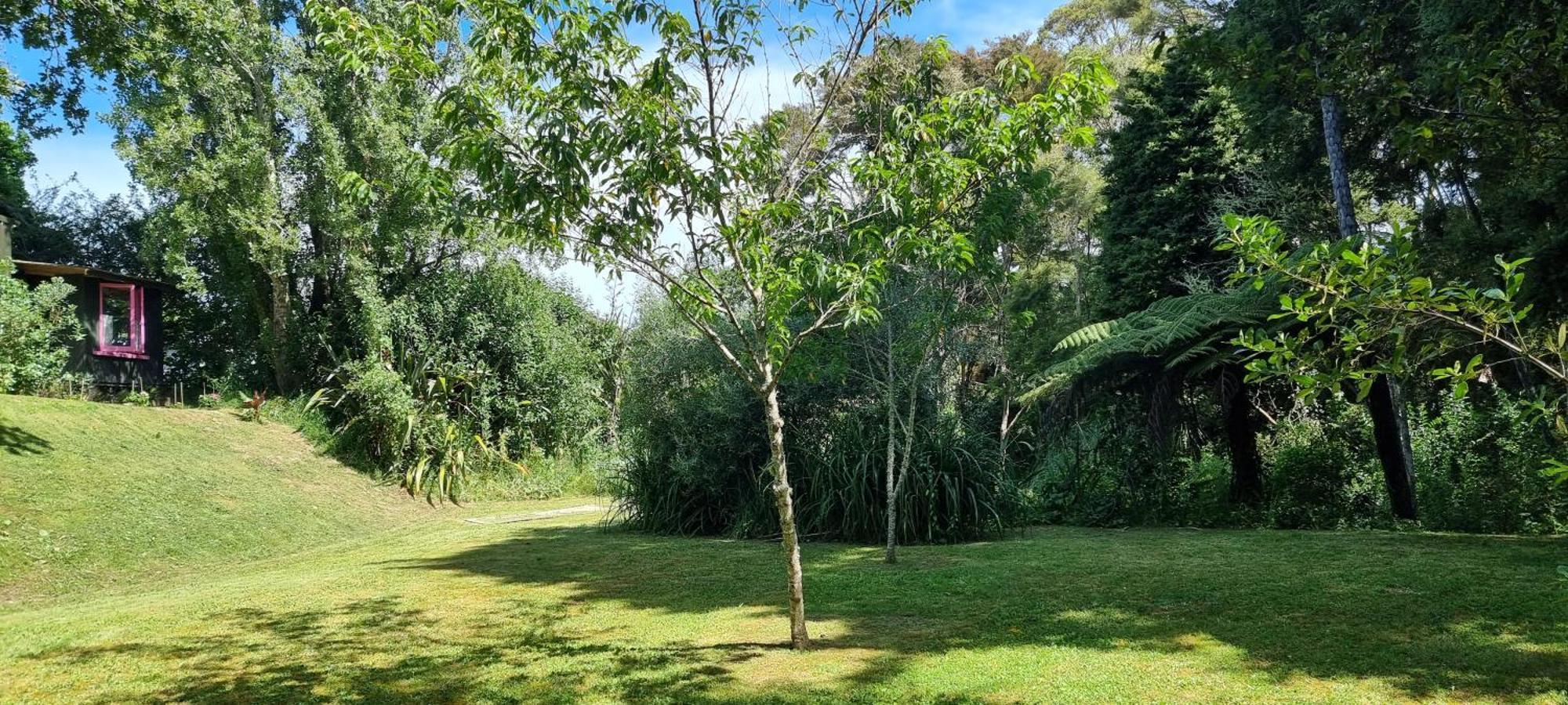 Pheasant Lodge Paparoa ภายนอก รูปภาพ
